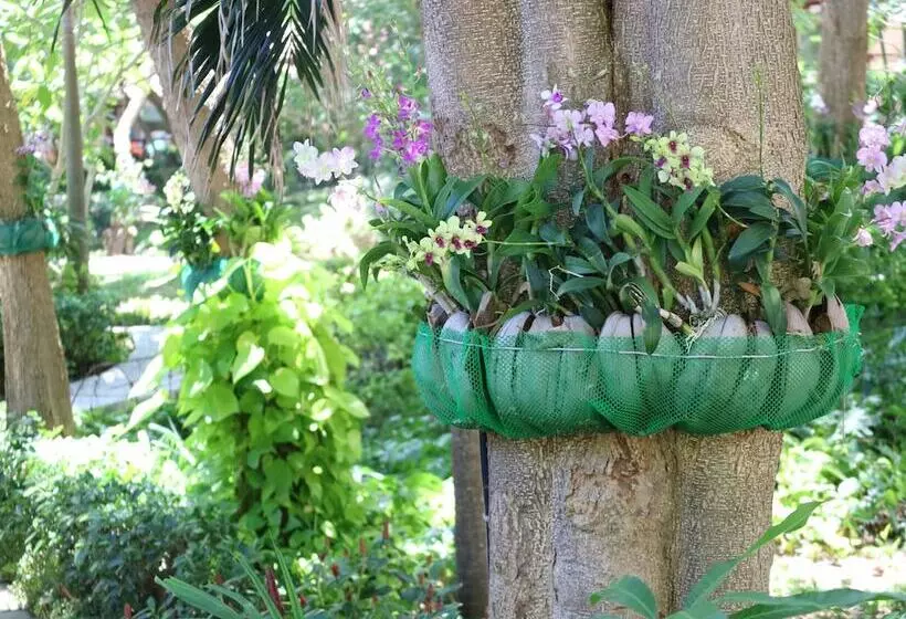 בית מלון כפרי Palita Lodge   Sha Plus