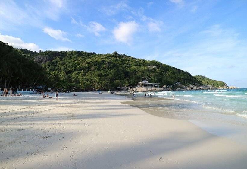 Отель Palita Lodge   Sha Plus