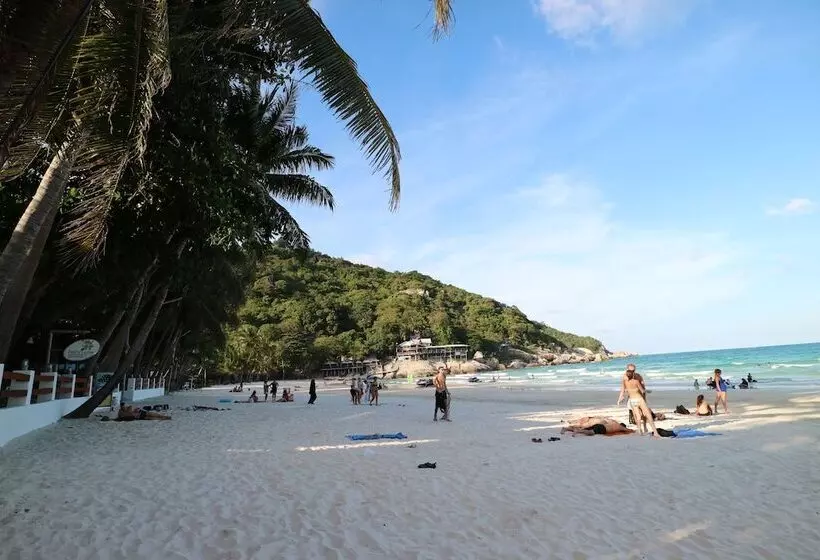 בית מלון כפרי Palita Lodge   Sha Plus