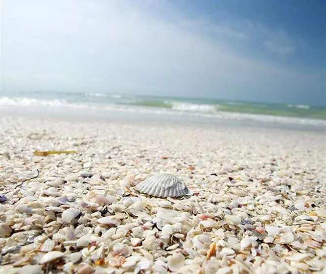 酒店 Pelicans Roost