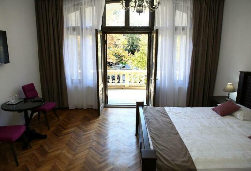 بنسيون Aleea Teilor