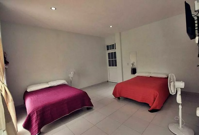 Bungalows De Kq