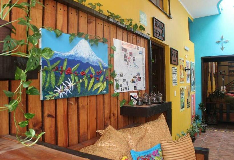 Casa Bonita Hotel Y Hostal