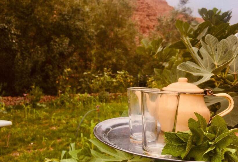 Отель Hôtel Panoramique De La Vallée