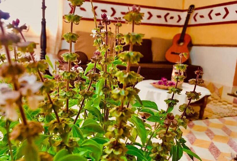 Отель Hôtel Panoramique De La Vallée