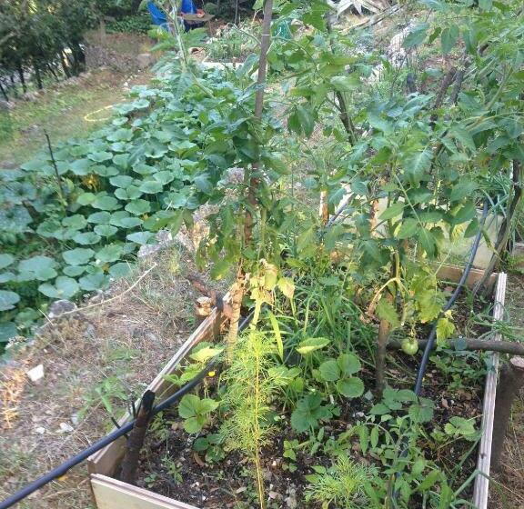 פנסיון La Maison Bleue