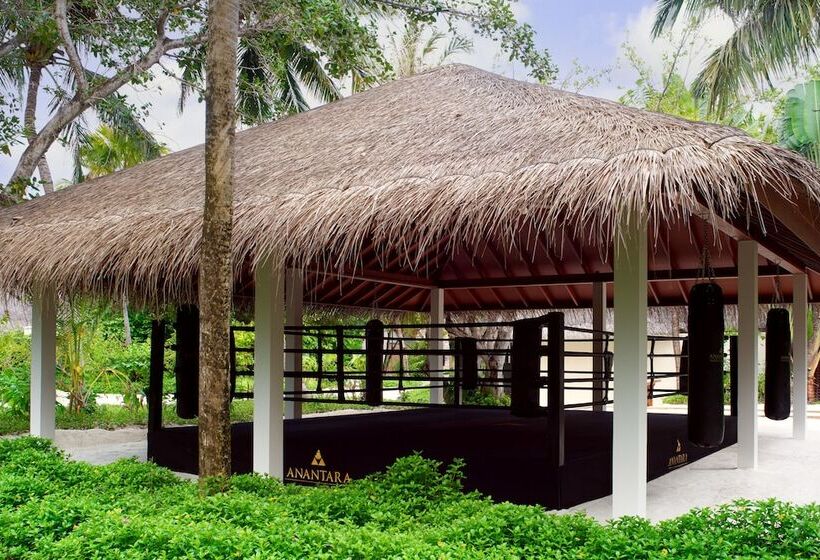 Anantara Veli Maldives Resort   Special Offer On Transfer Rates For Summer 2024