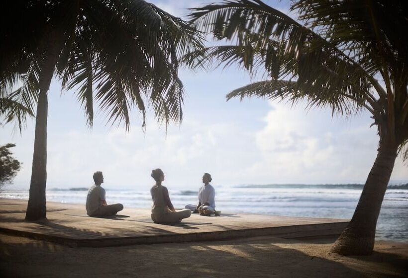 Anantara Veli Maldives Resort   Special Offer On Transfer Rates For Summer 2024