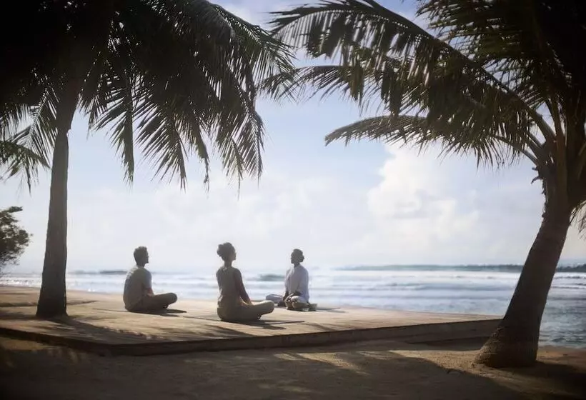 Anantara Veli Maldives Resort   Special Offer On Transfer Rates For Summer 2024