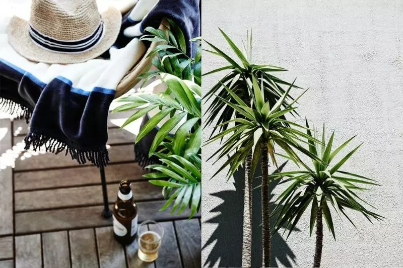 Cumberland Lorne Resort