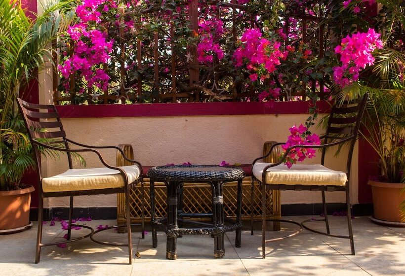 酒店 Shikara Beach Resort