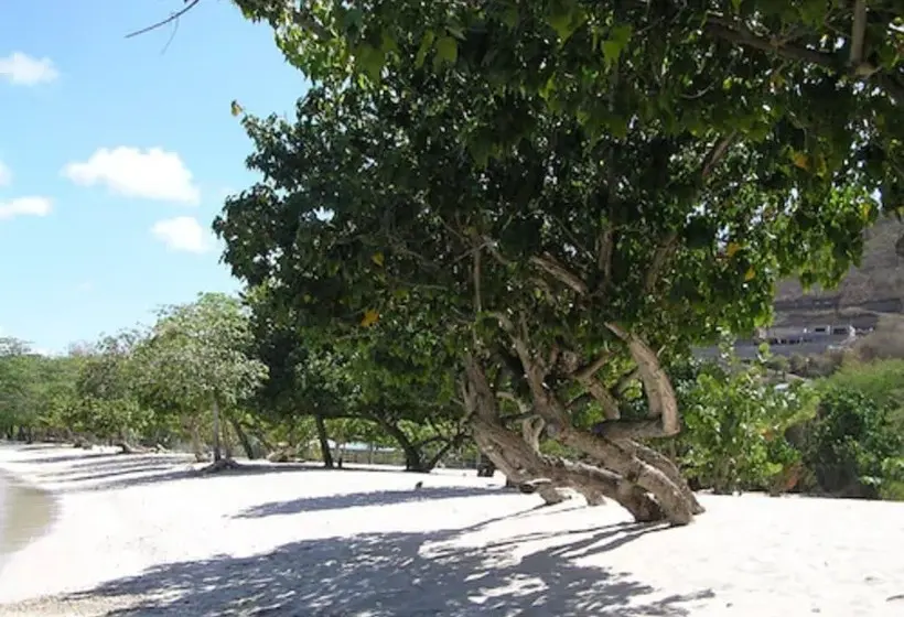 Kalinago Beach Resort