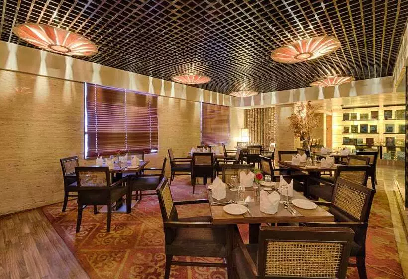 Quality Hotel Dv Manor