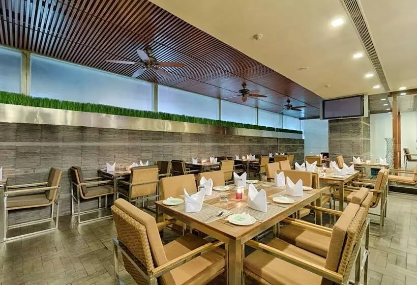 Quality Hotel Dv Manor