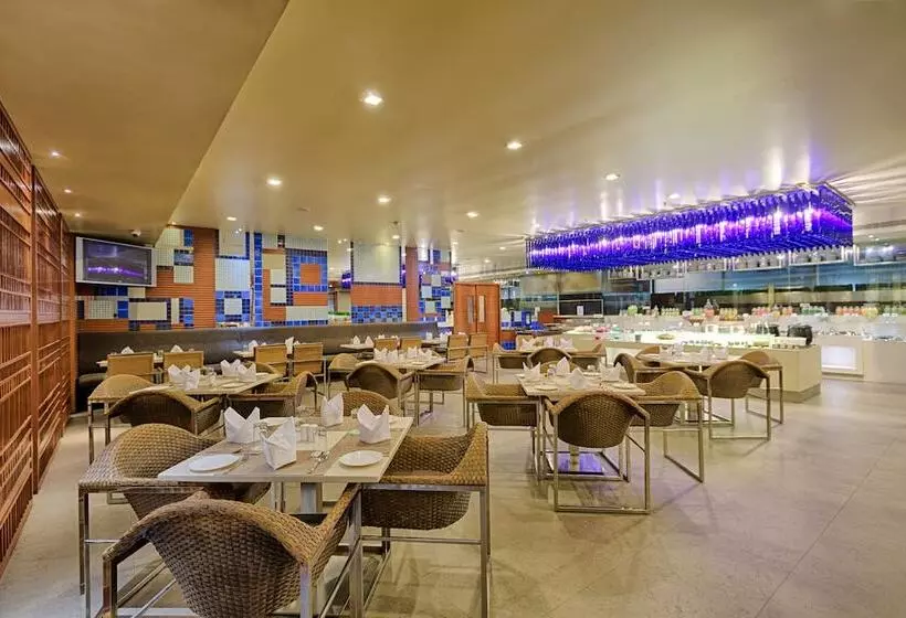 Quality Hotel Dv Manor