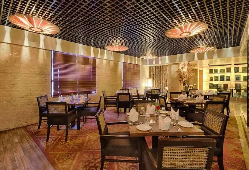 Quality Hotel Dv Manor