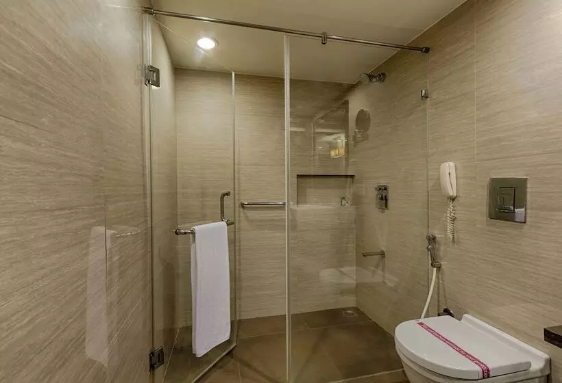 Quality Hotel Dv Manor