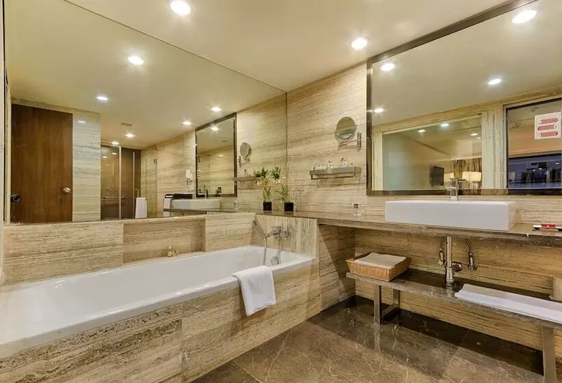 Quality Hotel Dv Manor