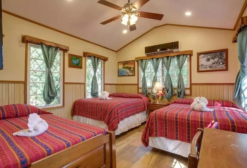 리조트 Midas Belize