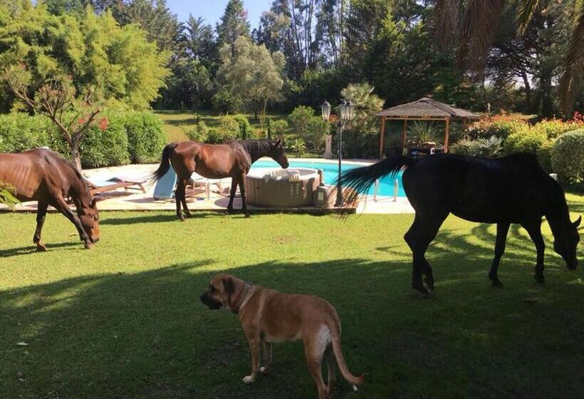 مبيت وإفطار Féerie Love