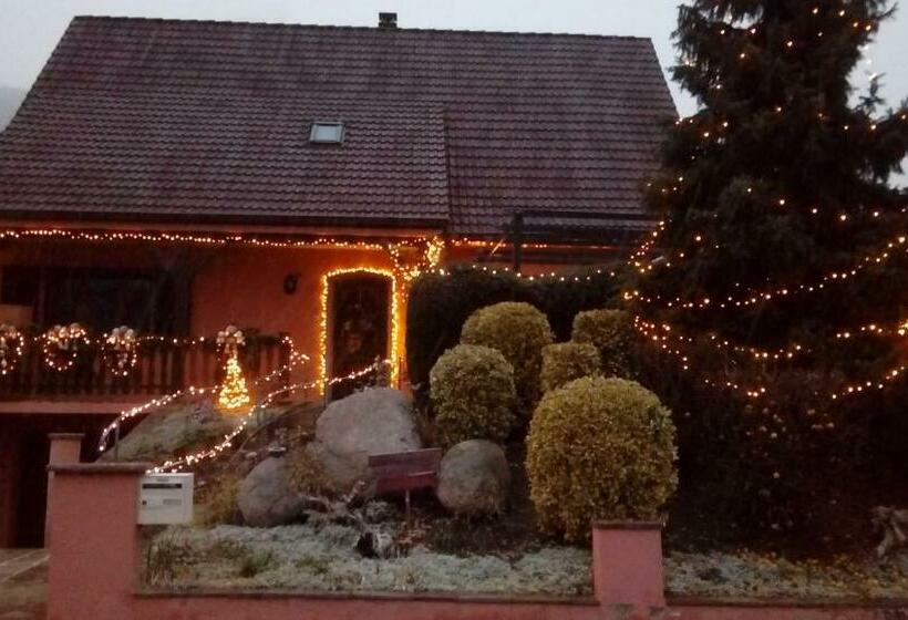 Bed and Breakfast Marcia Donatti A L Ombre Des Coteaux Rio De Janeiro