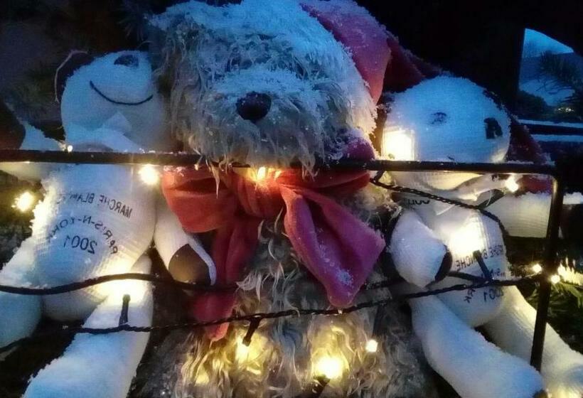 Bed and Breakfast Marcia Donatti A L Ombre Des Coteaux Rio De Janeiro