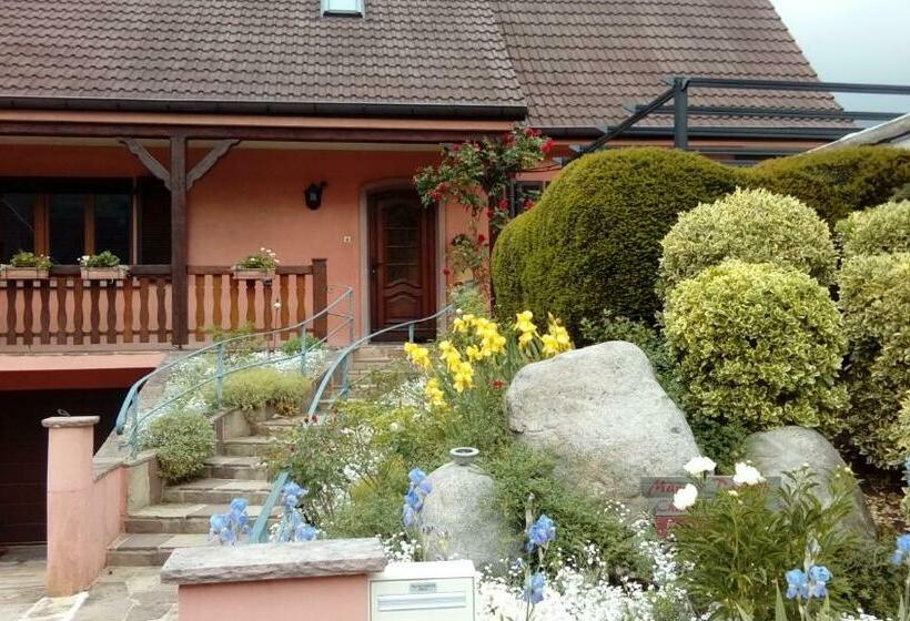 Bed and Breakfast Marcia Donatti A L Ombre Des Coteaux Rio De Janeiro