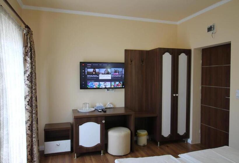 Pension Casa Camelia Felix