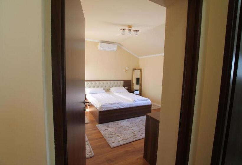 Pension Casa Camelia Felix