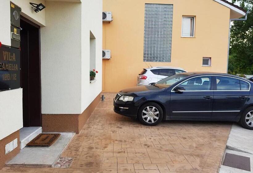 Pension Casa Camelia Felix