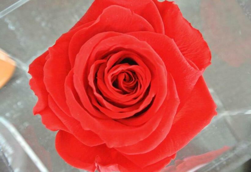 פנסיון Ofra Matera