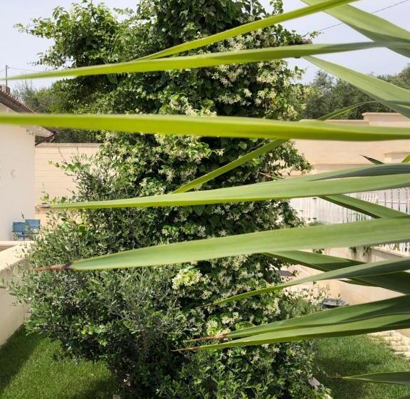 פנסיון Ofra Matera