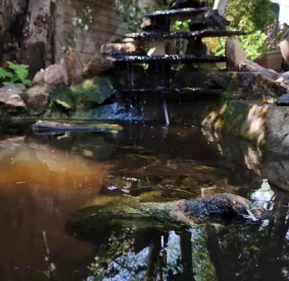 ペンション Riverbush Lodge Guesthouse