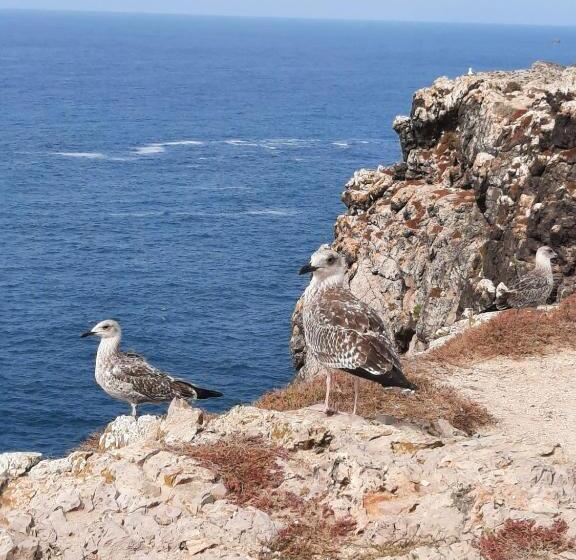 膳宿费 Sunset Room   Hiking & Beach