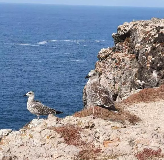 Majatalo Sunset Room   Hiking & Beach