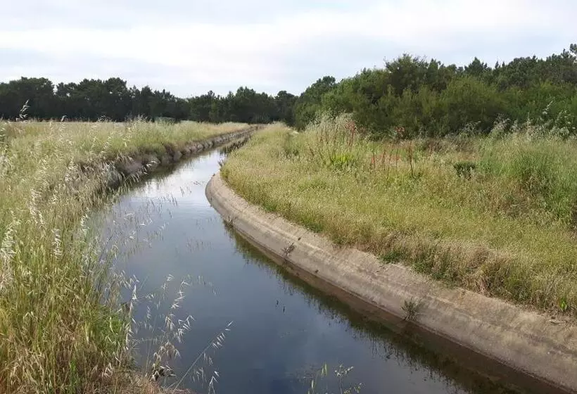 Majatalo Sunset Room   Hiking & Beach