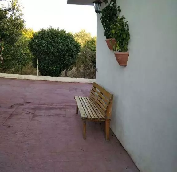 تختخواب و صبحانه Capinera