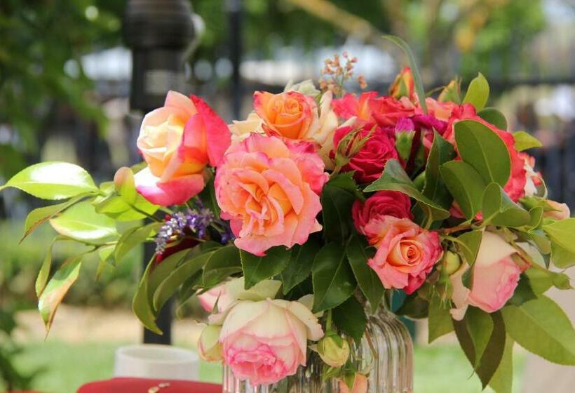 Bed and Breakfast Historic Merryville Homestead