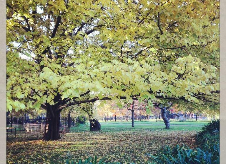 Bed and Breakfast Historic Merryville Homestead