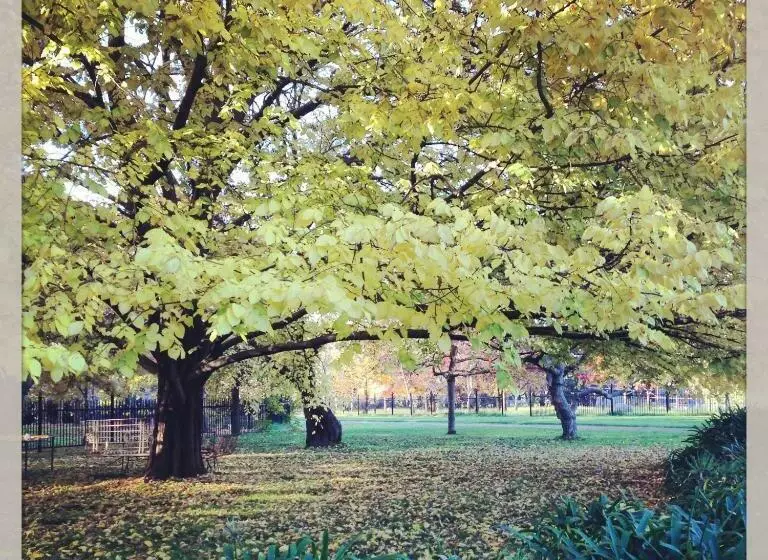 Aamiaismajoitus (B&B) Historic Merryville Homestead