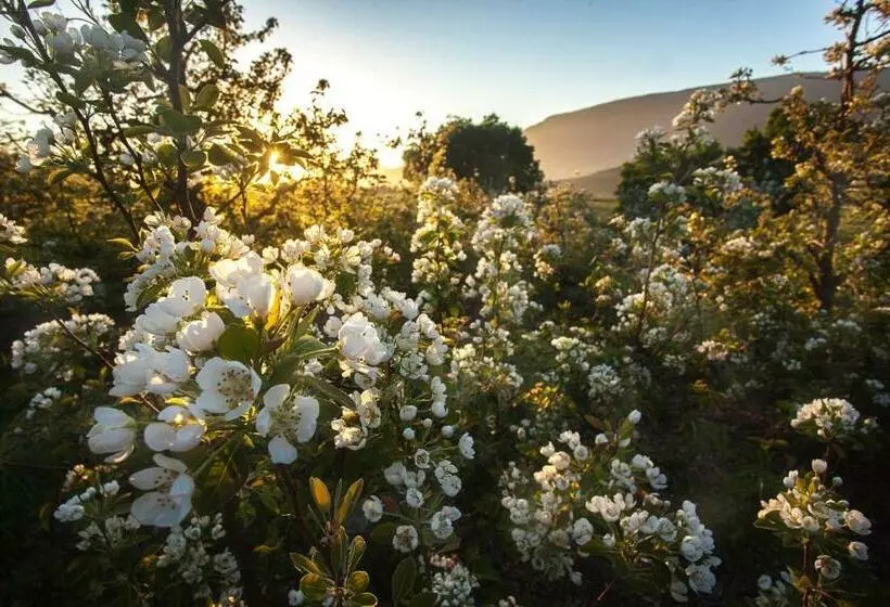 Aamiaismajoitus (B&B) Lentelus Farmstay