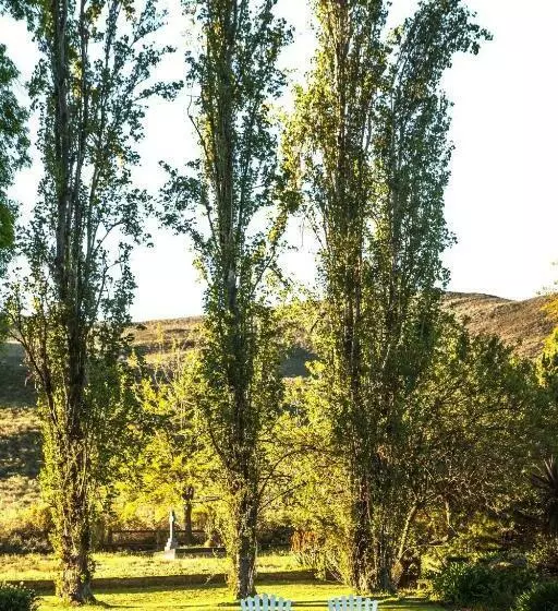 Aamiaismajoitus (B&B) Lentelus Farmstay