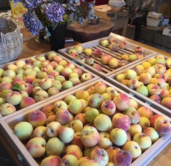 צימר Les 3 Koïs