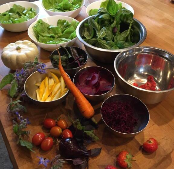 צימר Les 3 Koïs