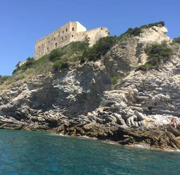 ホテル Agriturismo Podere Il Leccio