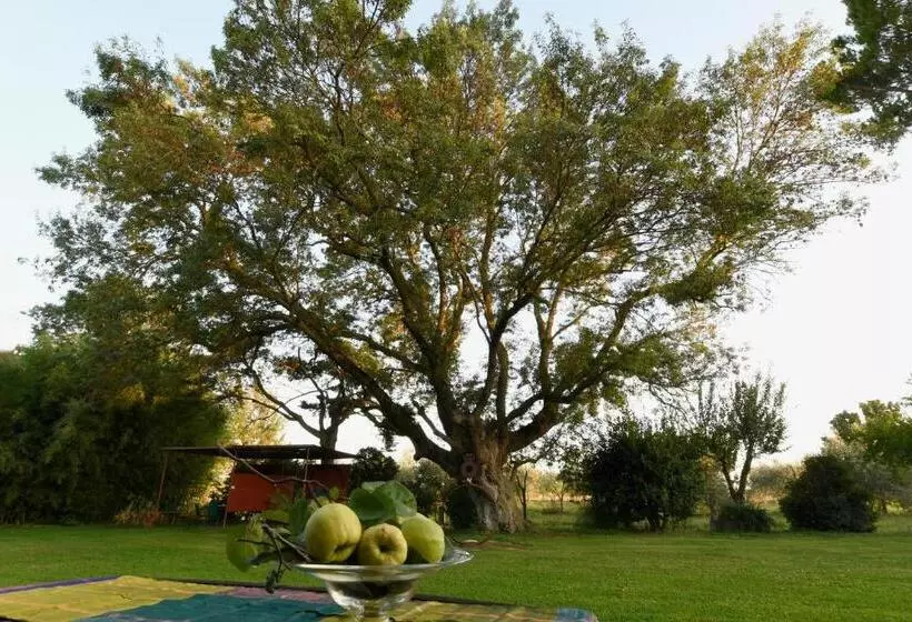 ホテル Agriturismo Podere Il Leccio