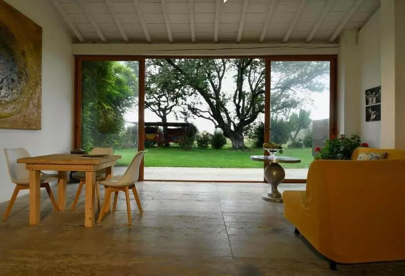 ホテル Agriturismo Podere Il Leccio