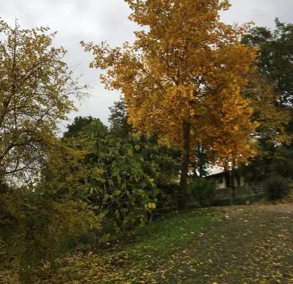 Hotelli Quinta De Silharezes, Lda