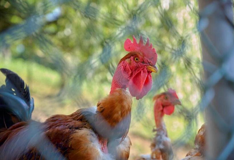 فندق Quinta De Silharezes, Lda