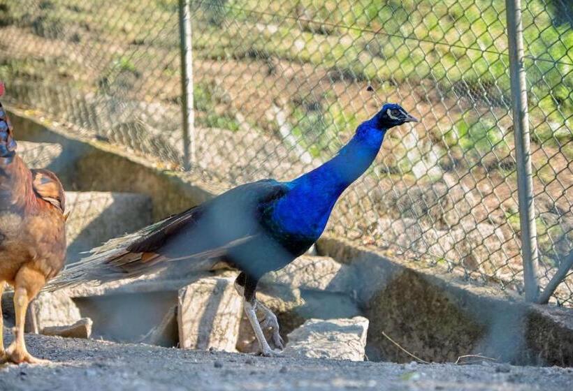 فندق Quinta De Silharezes, Lda